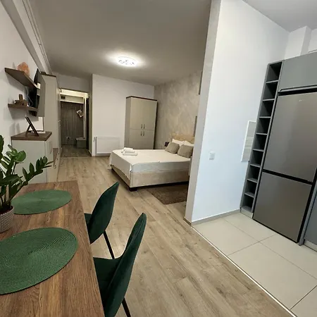Lazar Studio Apartment - Palas Center Iasi Exterior photo